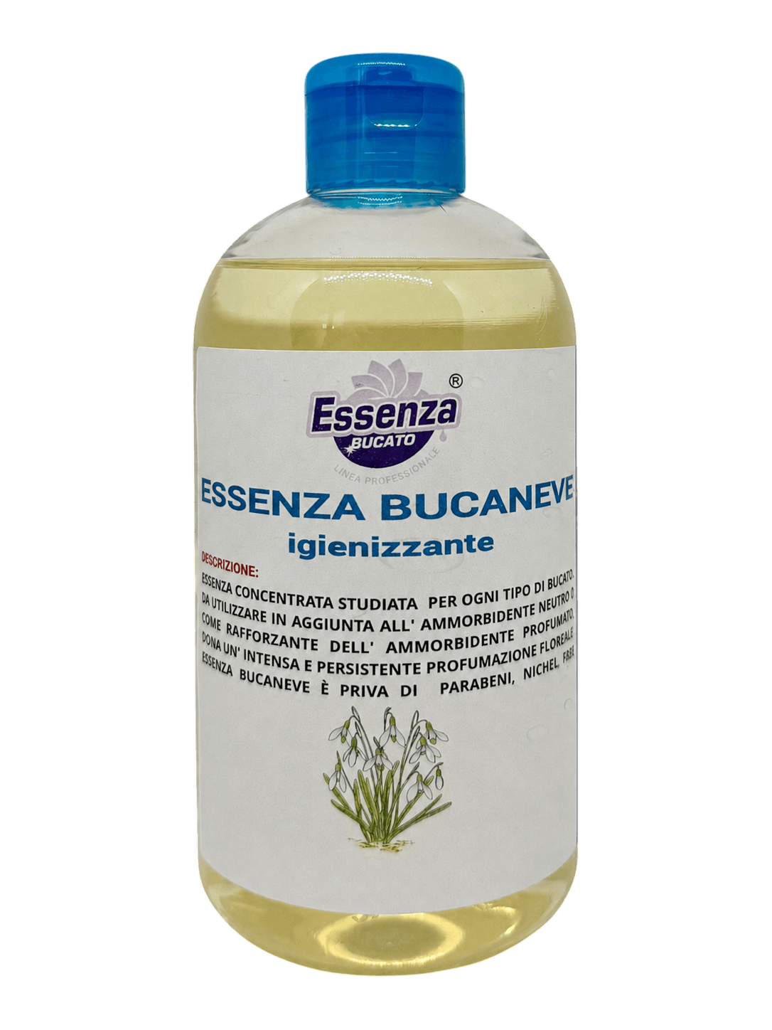 Bucaneve — immagine 2
